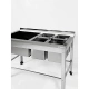 Ванна моечная двойная для мойки яйц ВМСЯ-1/5-Б-ЭЦ+ВМС-1/5-Б-ЭЦ